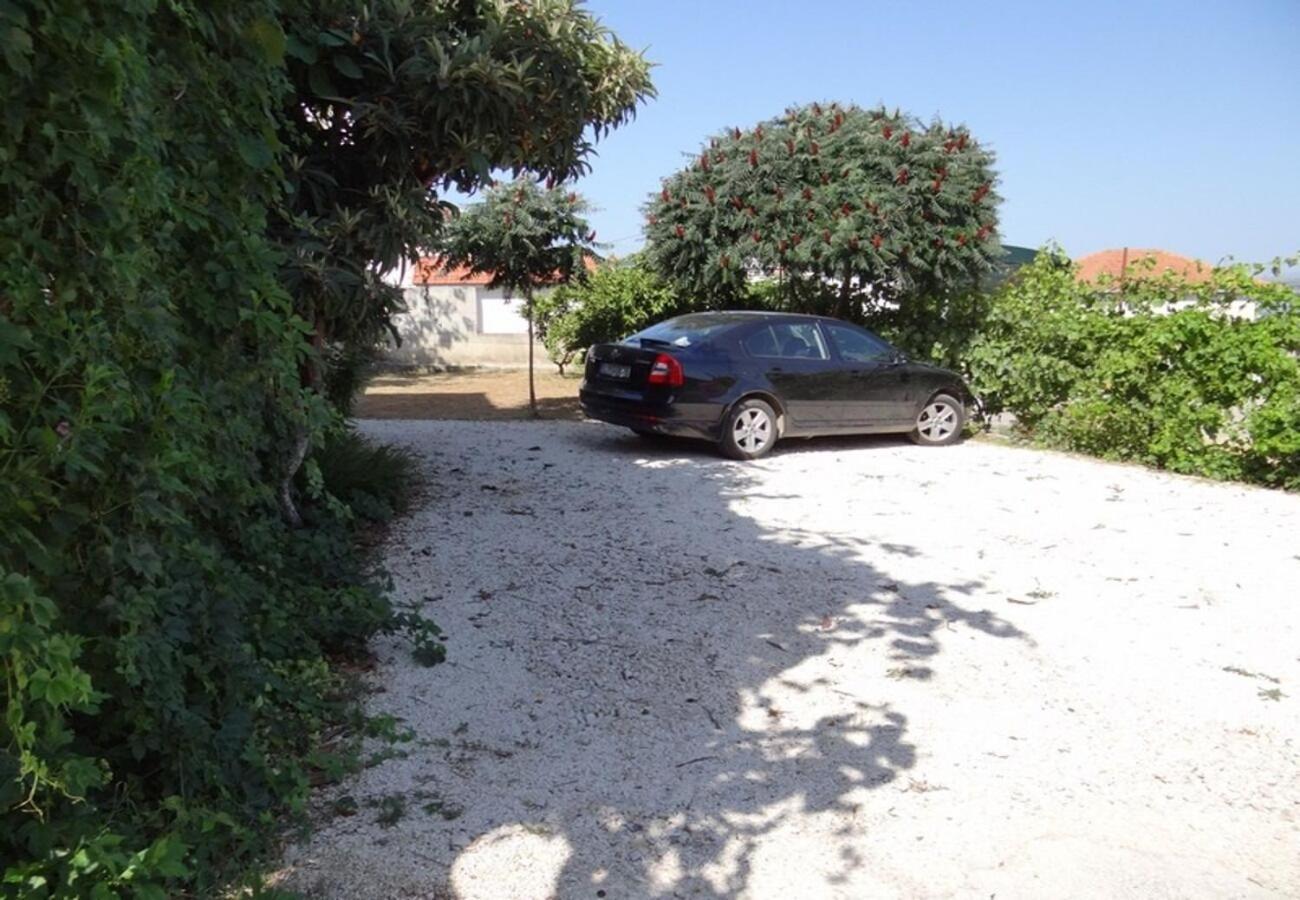 Mara Trogir